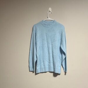 Haband Men's Sky Blue Crewneck Sweater